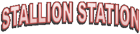 STALLION STATION
