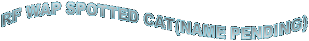 RF WAP SPOTTED CAT(NAME PENDING)