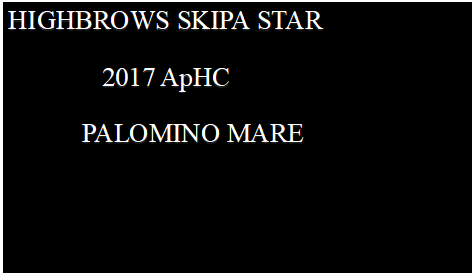 Text Box: HIGHBROWS SKIPA STAR                                    2017 ApHC            PALOMINO MARE